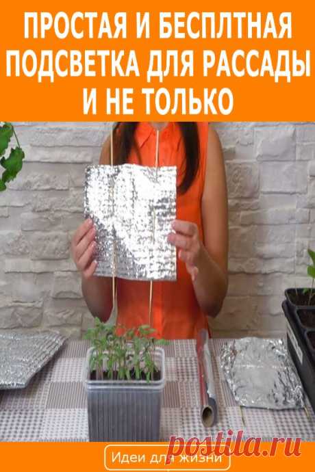 Простая и бесплатная подсветка для рассады и не только