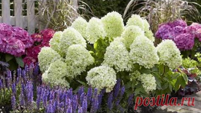 КРАСИВЫЕ ИДЕИ ДЛЯ САДА