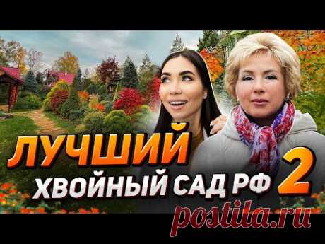 🌲Как Татьяна Воловик содержит 600 сортов на 1 участке?