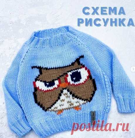 Схема рисунка «чумовой» совы