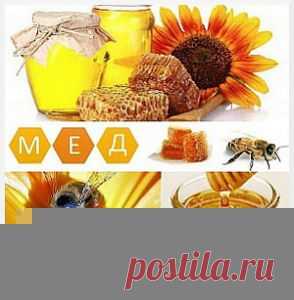 Мед при различных заболеваниях