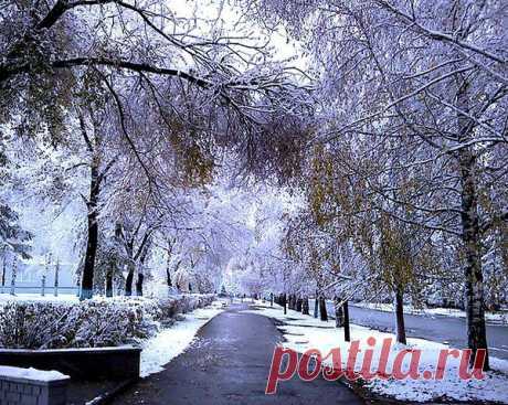 Скоро будет ноябрь. Листва облетит.
Лес замрет в наготе перед стылой зимой,
Будет ждать, что декабрь вот-вот закружит
Белых мух над землею навязчивый рой.