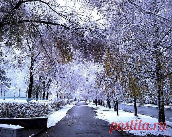 Скоро будет ноябрь. Листва облетит.
Лес замрет в наготе перед стылой зимой,
Будет ждать, что декабрь вот-вот закружит
Белых мух над землею навязчивый рой.