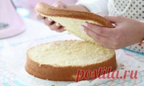Шифоновый бисквит: универсальный и высокий! | PASTRY CHEF | Яндекс Дзен