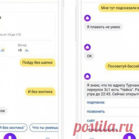 «Познакомилась с приложением, но это личное». Как работает голосовой помощник Алиса от «Яндекса»