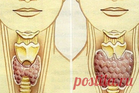Новости - МирТесен