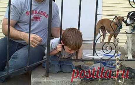 Когда родители отчаялись, пес подсказал, как спасти малыша - забавное видео Sputnik Молдова говорит то, о чем другие молчат