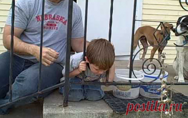 Когда родители отчаялись, пес подсказал, как спасти малыша - забавное видео Sputnik Молдова говорит то, о чем другие молчат