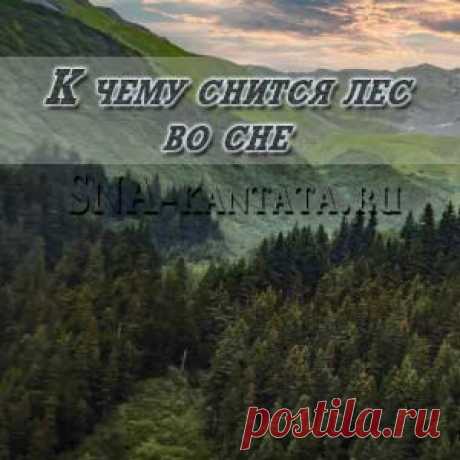 К чему снится лес во сне