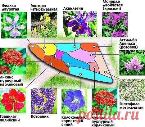Одноклассники