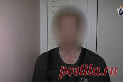 Допрос обвиняемого в расправе над женой-участковой россиянина попал на видео