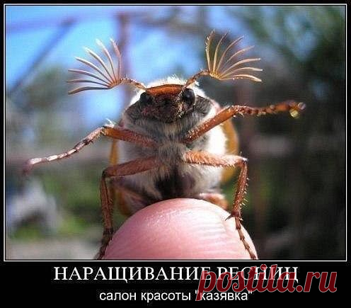 красота