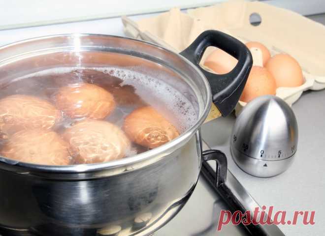 Не класть в кипящую воду и не давать кипеть. Типичные ошибки при приготовлении яиц