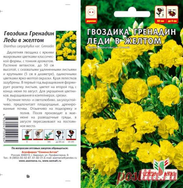 Цветы Гвоздика гренадин Леди в желтом/Сем Алт/цп 0,1 гр