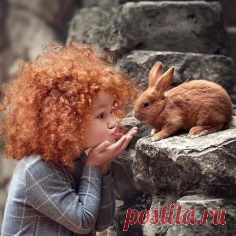 Pinterest
