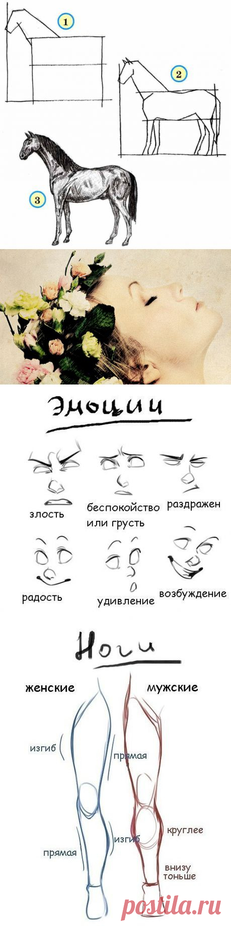 Учимся рисовать | Записи в рубрике Учимся рисовать | На пути к мечте