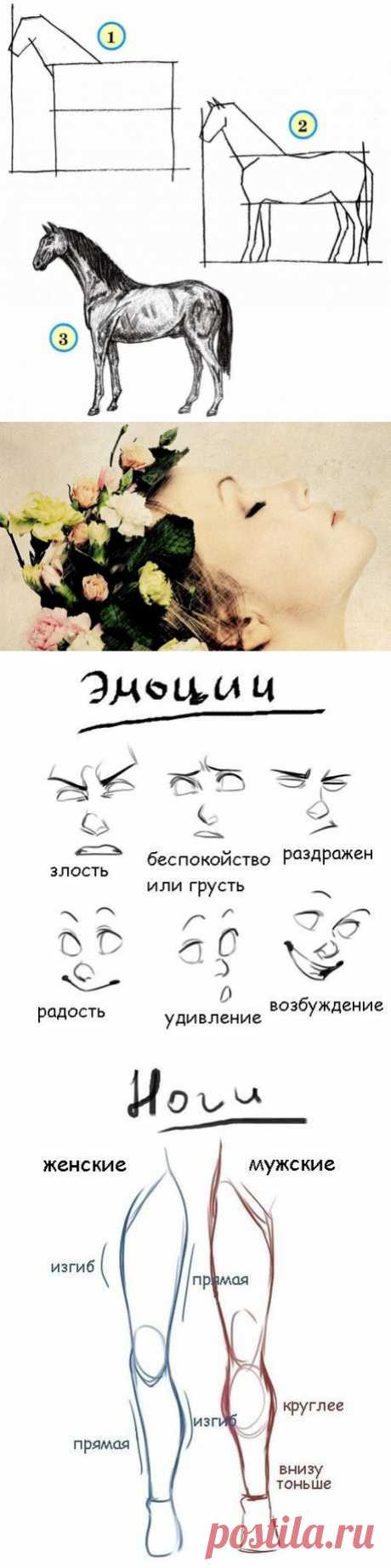 Учимся рисовать | Записи в рубрике Учимся рисовать | На пути к мечте