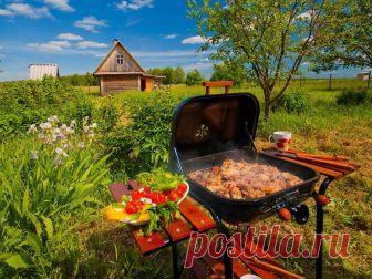 Почему на даче нельзя слушать музыку и жарить шашлык? Странные запреты для владельцев садов.