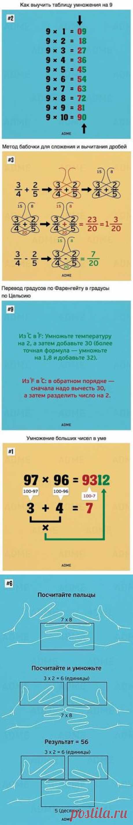 ТАКОМУ В ШКОЛЕ НАС НЕ УЧИЛИ. А ЖАЛЬ!