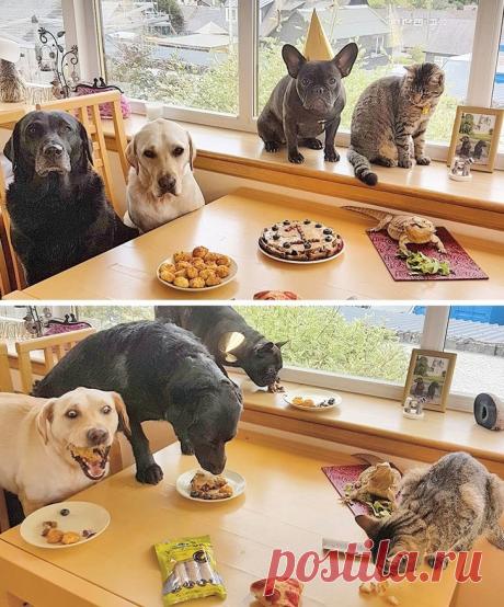 22 фотографии, сделанные в нужный момент, на которых всё сошлось просто идеально