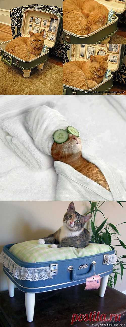 Кошачье рукоделие:) Мурлыки из ткани и полезности для домашних любимцев.