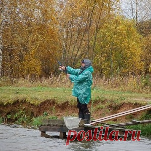 Колебалки не подводят никогда - МирТесен