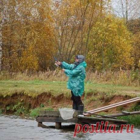 Колебалки не подводят никогда - МирТесен