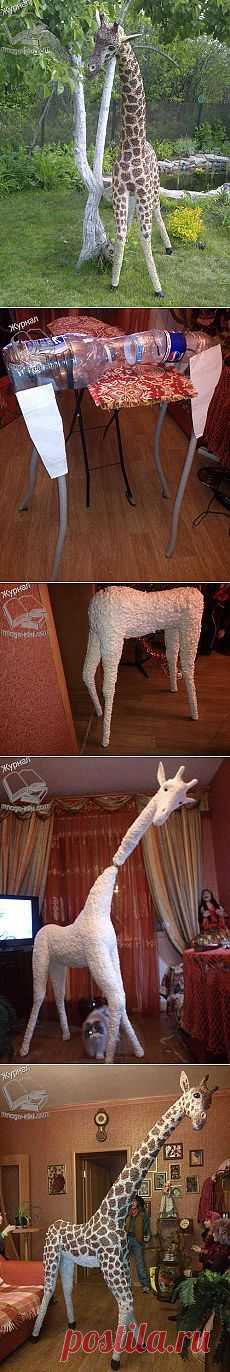 (56) Pinterest