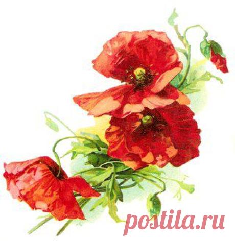 Декупаж в России