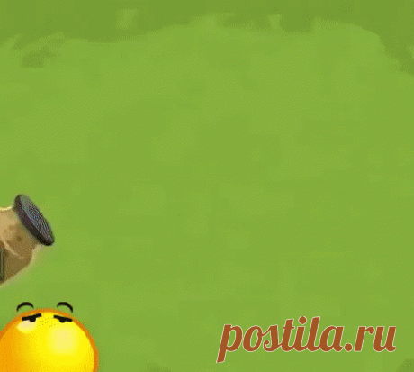 Полезный имбирь....