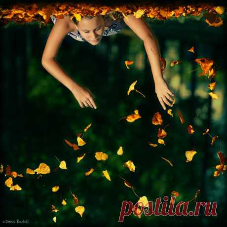 35PHOTO - Denis Buchel (Денис Бучель) - ...с неба падали листья.