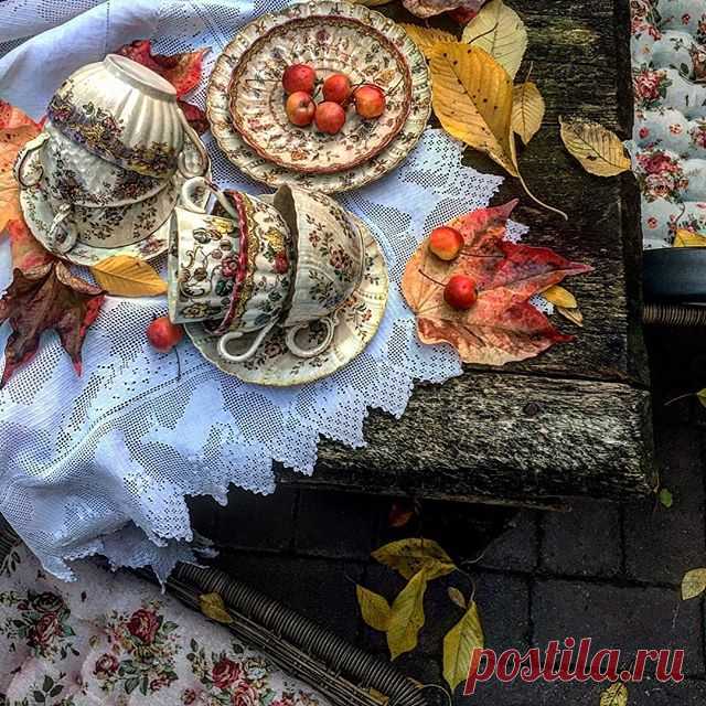 #autumn #october #garden #mygarden #fallingleaves #apple #pottery #ceramics #faience #cup #antique #old #oldtimes #colorful #flowers #instagram #instagardenlovers #instaphoto #photography #enfotom #kertemben #ősz #hullófalevelek #csésze #antik #régi #öreg #szeretem #virágos #színes @_e_d_i_t.t_a_k_a_c_s_