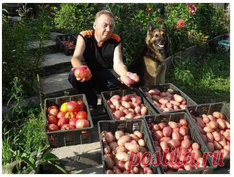 4 ВИДА ПОДКОРМОК ИГОРЯ ЛЯДОВА.