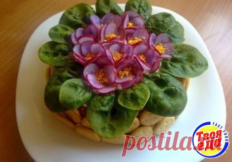 Красивый салат фиалки