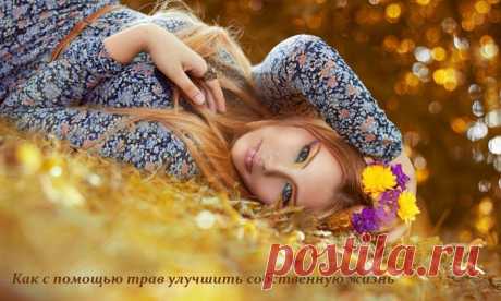 Как с помощью трав улучшить собственную жизнь