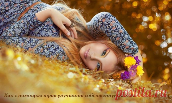 Как с помощью трав улучшить собственную жизнь