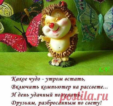 ежина