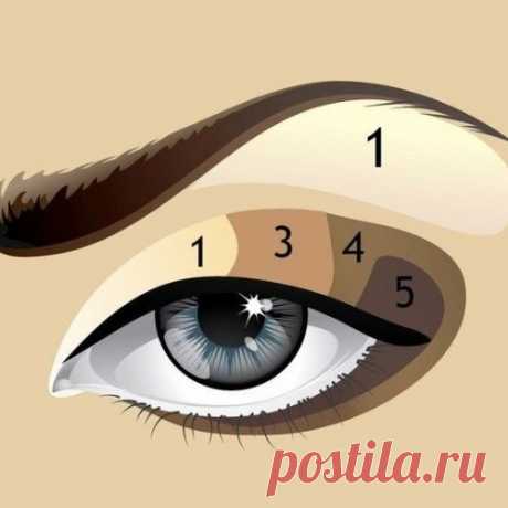 Вертикальная схема нанесения теней:
