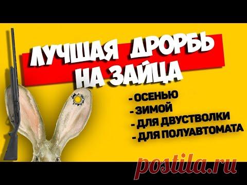 И НИКАКАЯ ДРУГАЯ! Лучшая дробь для охоты на зайца