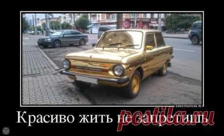 Качай мозги!, 31 смешных фото приколов