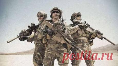 Дульные устройства для стрелкового оружия В период бурного развития промышленности глушителей стрелкового оружия новые предложения на рынке появляются как грибы после дождя. При этом современные приборы бесшумной беспламенной стрельбы становя...