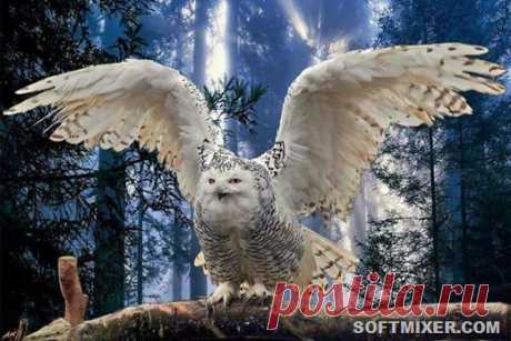 118675560_4920201_pCTVd%255B5%255D.jpg (image)