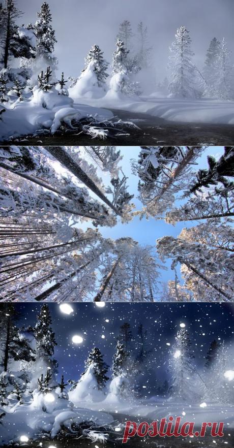 Я рисую зиму