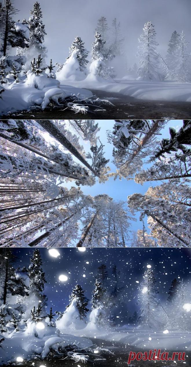 Я рисую зиму