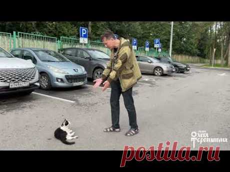 После пленэра Удаление кота