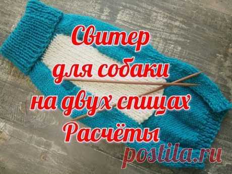 Свитер для собаки  на двух спицах, Расчёты