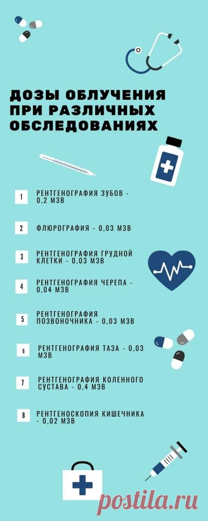 Как часто можно делать рентген взрослому и сколько снимков можно сделать за раз