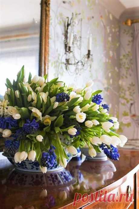 Беседка – Google+