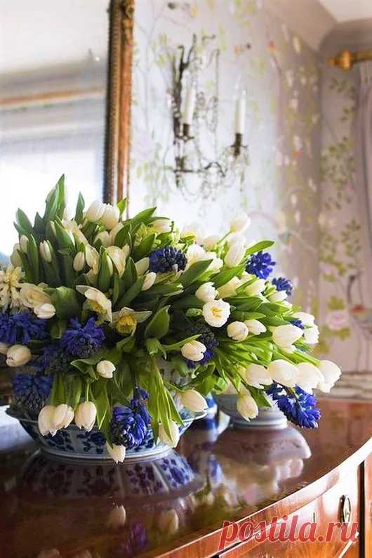 Беседка – Google+