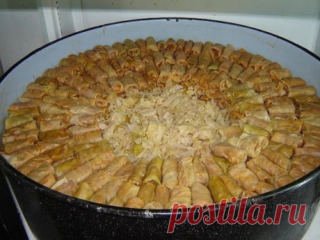 10 самых вкусных рецептов голубцов Приятного аппетита!